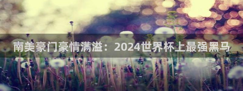 世界杯亚洲区预选赛积分榜：南美豪门豪情满溢：2024世界杯上最强黑马