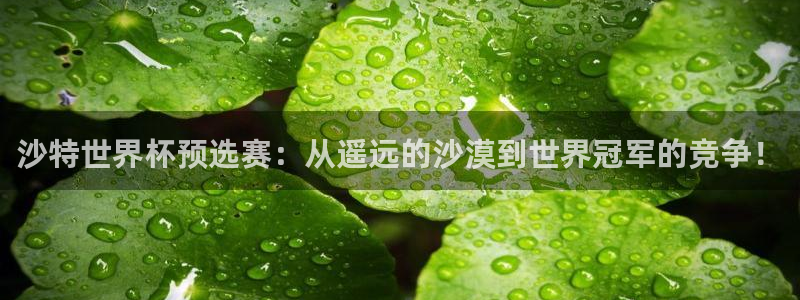 世界杯预选赛排名：沙特世界杯预选赛：从遥远的沙漠到世界冠军的竞争！