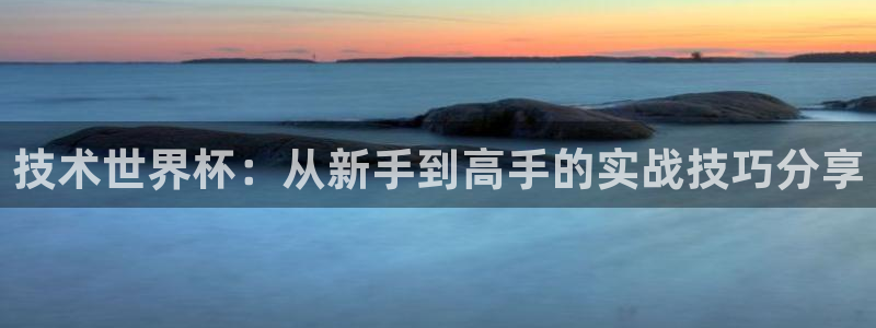 足球世界杯：技术世界杯：从新手到高手的实战技巧分享