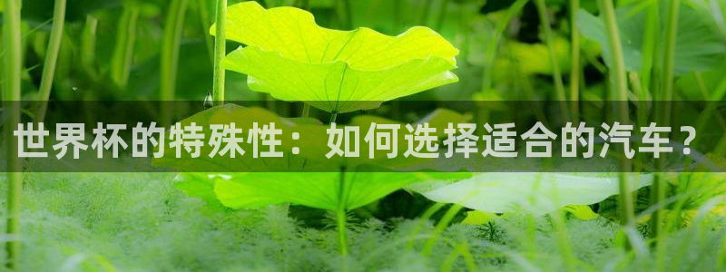 2026世界杯德国队阵容：世界杯的特殊性：如何选择适合的汽车？