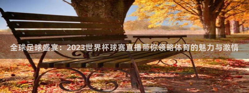 足球世界杯预选赛：全球足球盛宴：2023世界杯球赛直播带你领略体育的魅力与激情