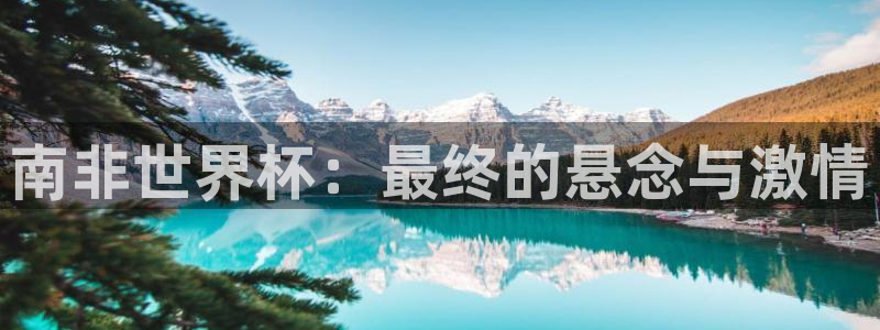 欧洲区世界杯预选赛：南非世界杯：最终的悬念与激情