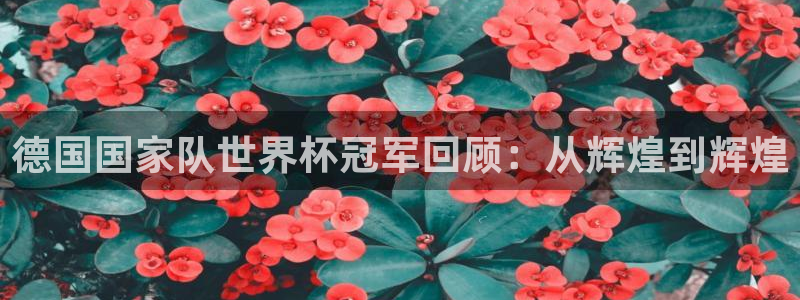 2026年世界杯直播平台：德国国家队世界杯冠军回顾：从辉煌到辉煌