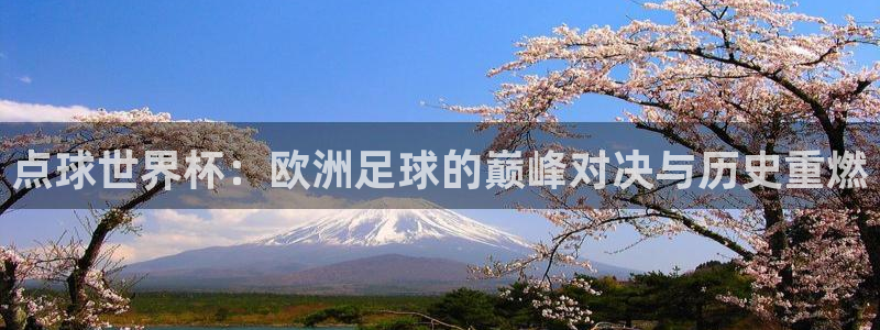 2026世界杯对阵图：点球世界杯：欧洲足球的巅峰对决与历史重燃