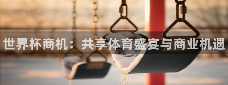 世界杯小组赛赛程：世界杯商机：共享体育盛宴与商业机遇
