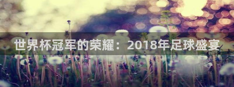 男足世界杯预选赛赛程：世界杯冠军的荣耀：2018年足球盛宴