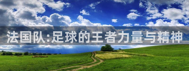 世界杯时间：法国队:足球的王者力量与精神