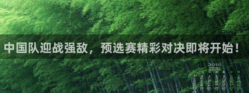 世界杯葡萄牙赛程：中国队迎战强敌，预选赛精彩对决即将开始！