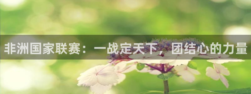 世界杯欧洲预选赛赛程：非洲国家联赛：一战定天下，团结心的力量